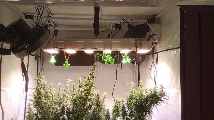 Growreport Bild 1