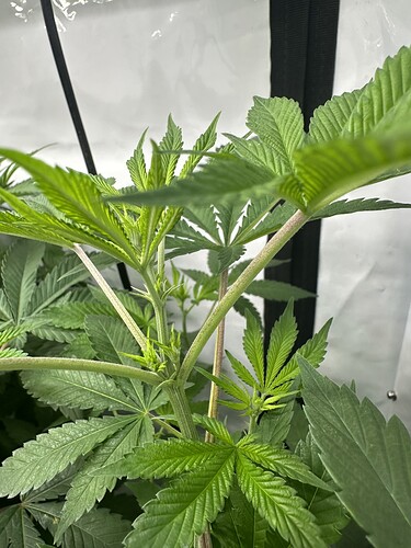 Growreport Bild 20