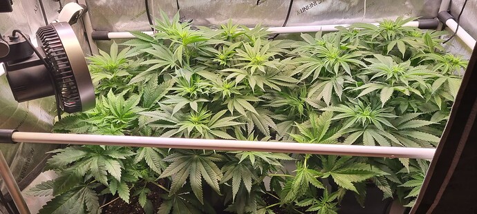Growreport Bild 13