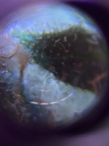 Growreport Bild 50