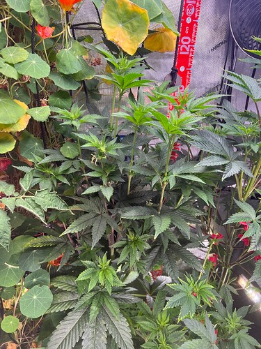 Growreport Bild 6