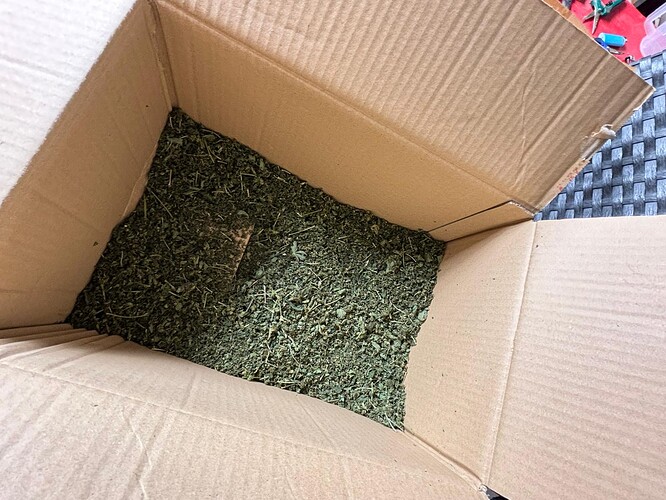 Growreport Bild 25
