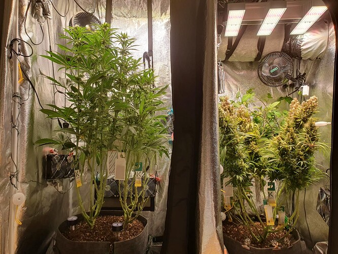 Growreport Bild 10