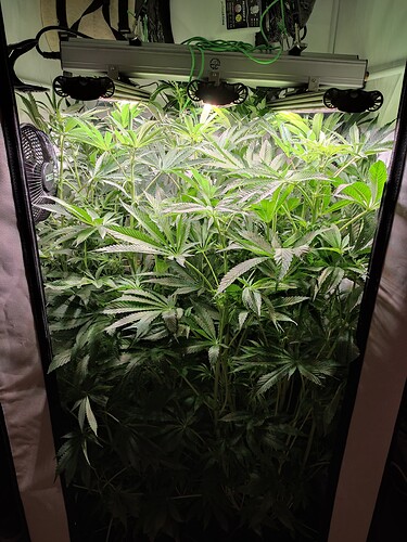 Growreport Bild 11