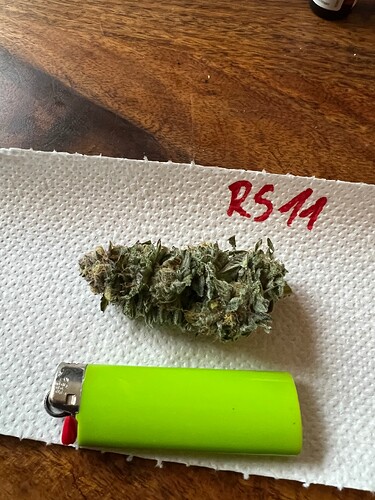 Growreport Bild 8