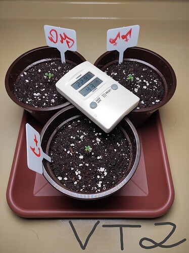 Growreport Bild 22