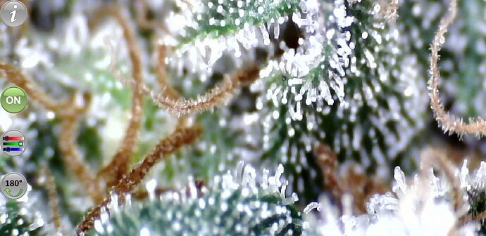 Growreport Bild 15