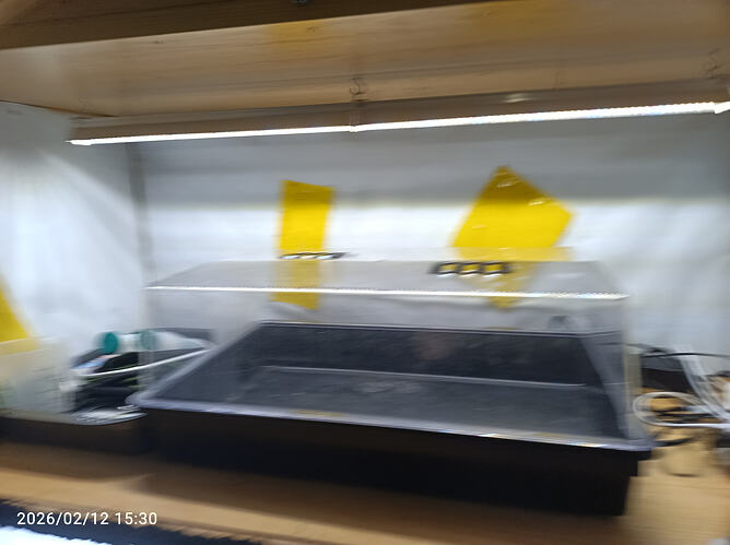 Growreport Bild 29