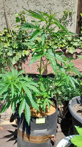 Growreport Bild 20