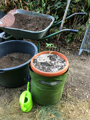 Grow26_0814_11