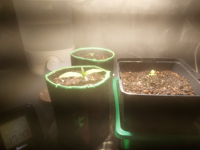 Growreport Bild 9
