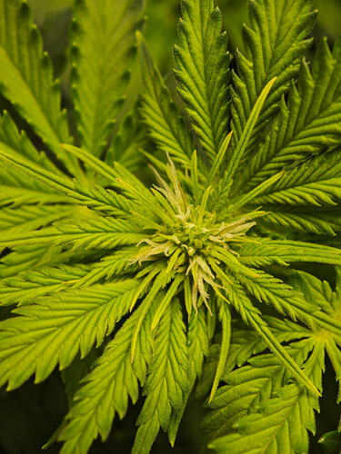 Growreport Bild 19