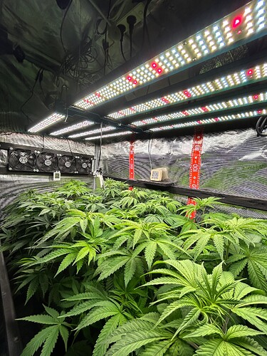 Growreport Bild 34