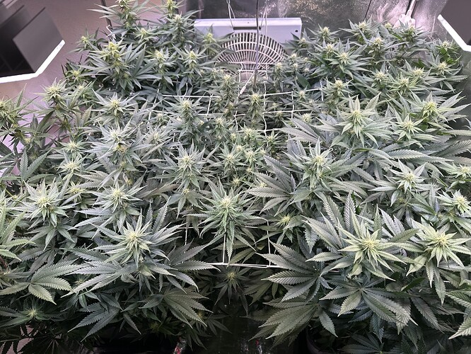 Growreport Bild 10