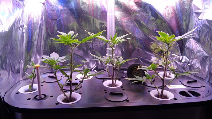 Growreport Bild 6