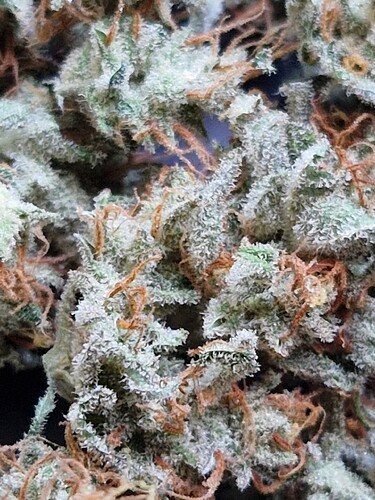 Growreport Bild 16