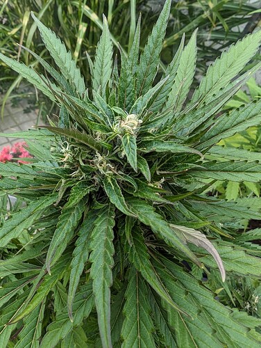 PXL_20240614_080356319