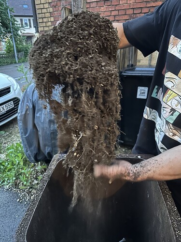 Growreport Bild 46
