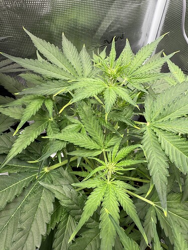 Growreport Bild 10