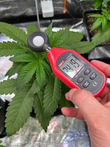 Growreport Bild 59
