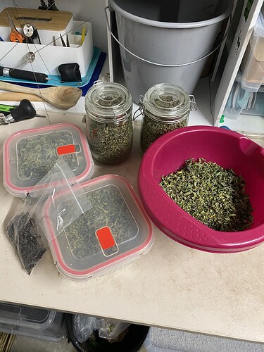 Growreport Bild 1