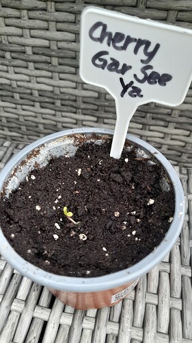 Growreport Bild 16