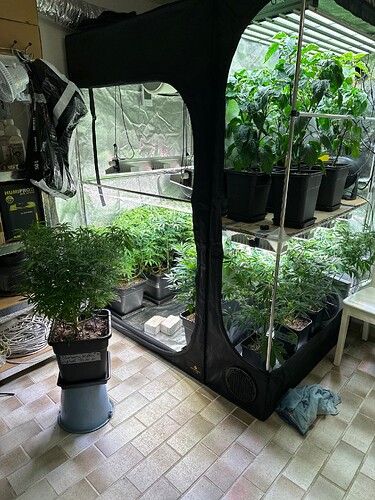 Growreport Bild 30