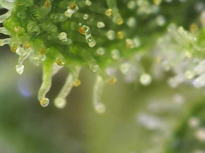 Image_2024-07-15 11_00_33_122