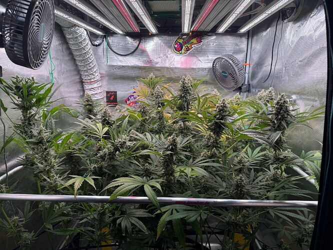 Growreport Bild 10