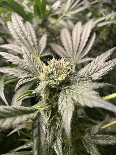 Growreport Bild 2