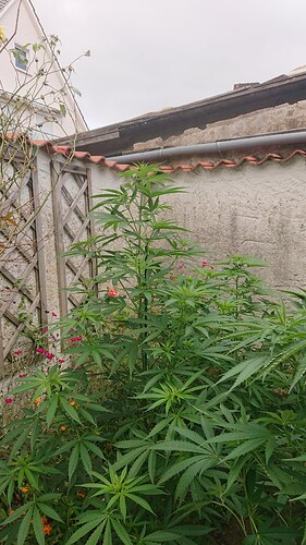 Growreport Bild 14