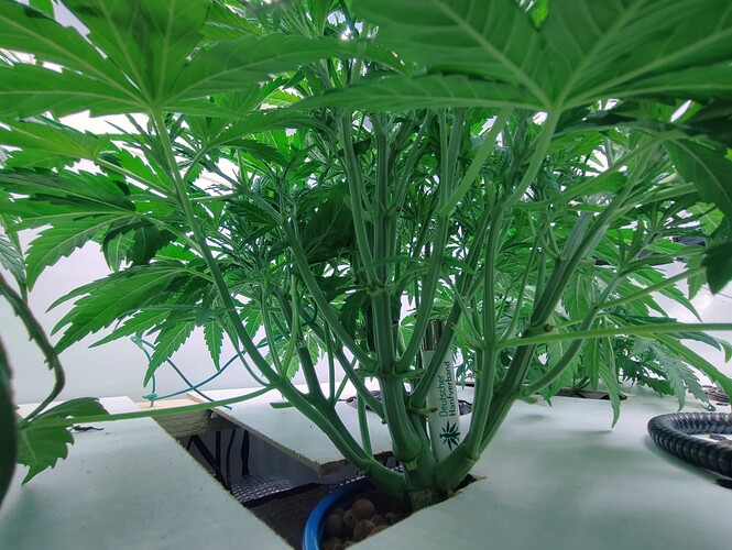 Growreport Bild 11