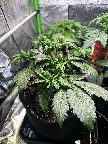 Growreport Bild 21