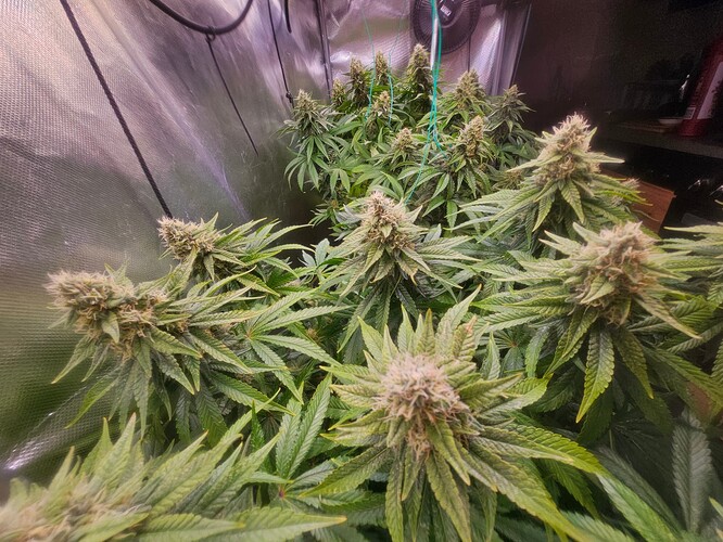Growreport Bild 10