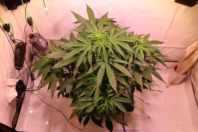 Growreport Bild 20