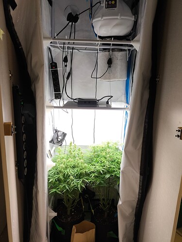 Growreport Bild 4