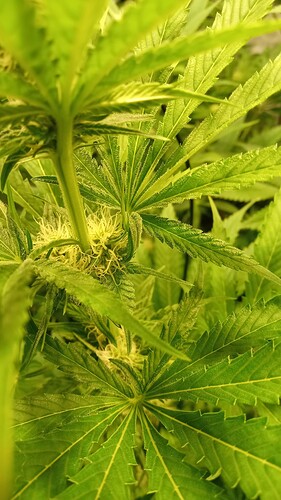 Growreport Bild 23