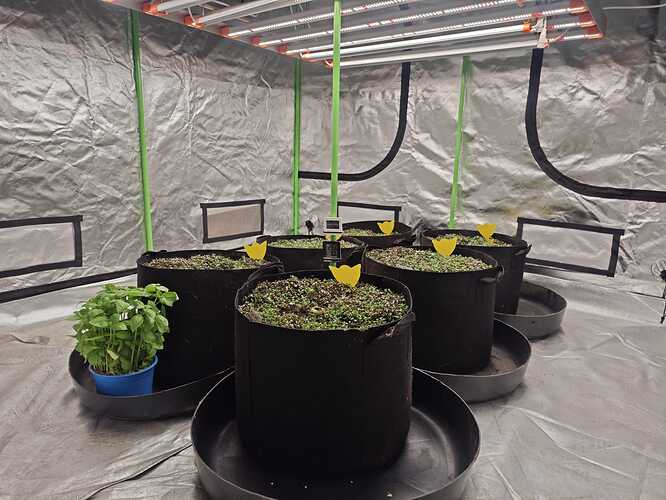 Growreport Bild 20