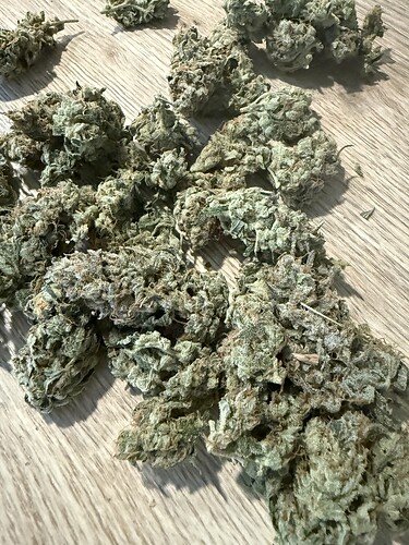 Growreport Bild 9