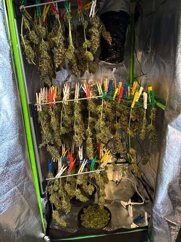 Growreport Bild 9