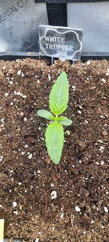 WhatsApp Image 2025-11-28 at 22.49.58