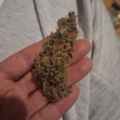 17467307707408220792373217406486