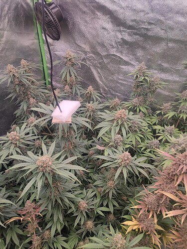 Growreport Bild 18