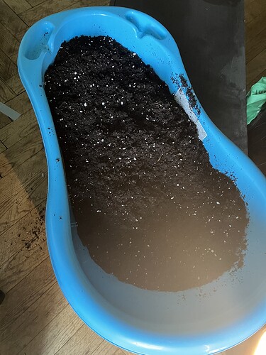 Growreport Bild 10