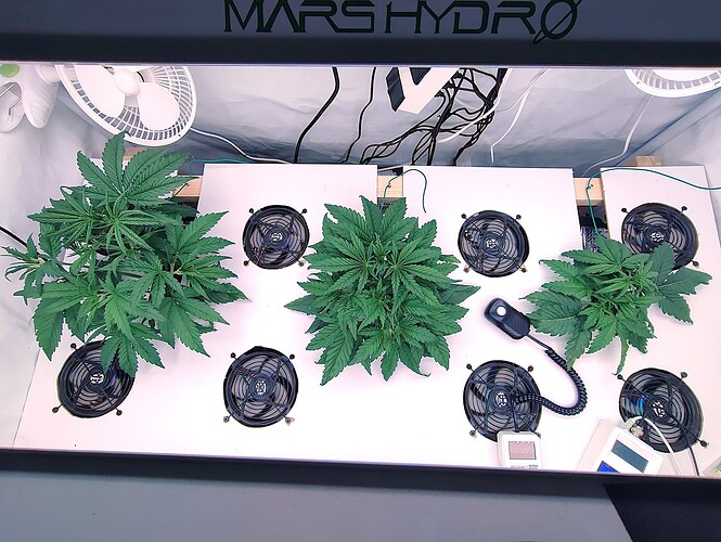 Growreport Bild 3
