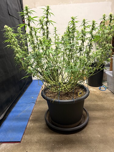 Growreport Bild 14