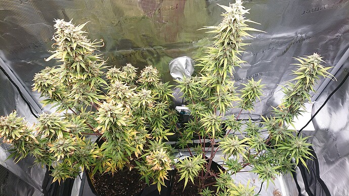Growreport Bild 10