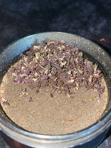 Growreport Bild 1