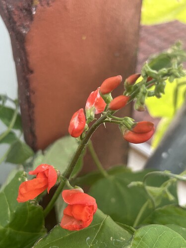 Growreport Bild 49