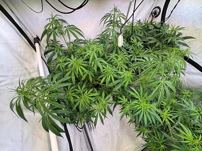 Growreport Bild 2